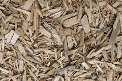 biomass boilers Paston